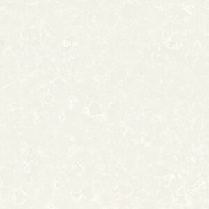 Perla ( Perla Grey )