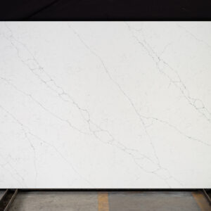 Arctic White