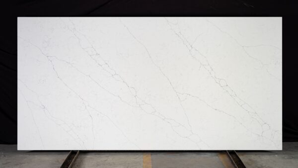 Arctic White - Image 3