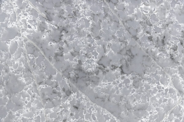 Gacier Forest - Image 2