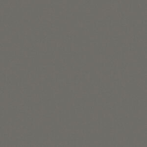 Gris Expo