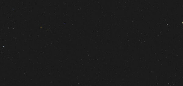 Stellar Night