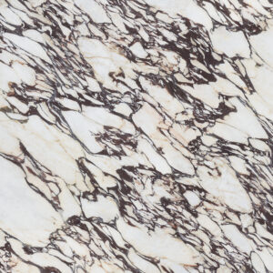 Infinity Calacatta Viola Slab