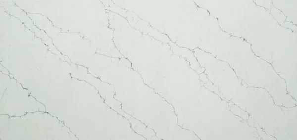 Carrara Venatino