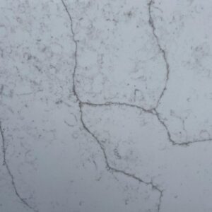 Worldwide - Close-Brooklyn