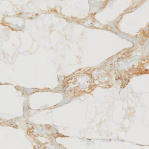 Artemistone-Calacatta-Cremo-Slab