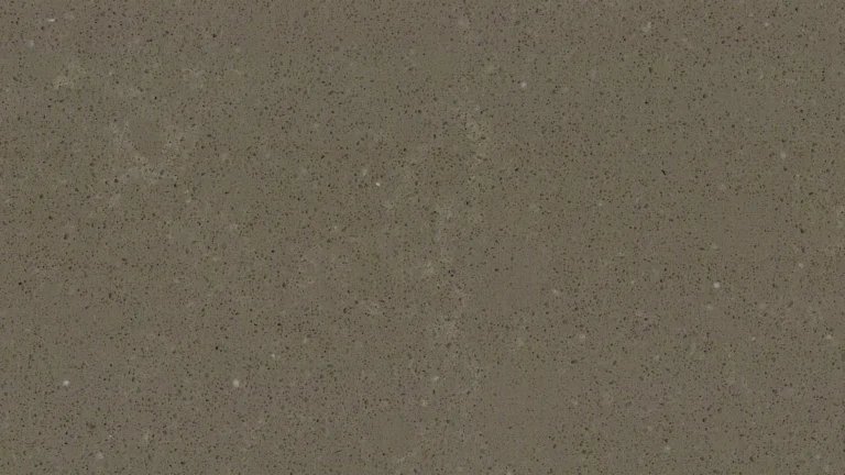 BQS-BELGIAN-MOCA