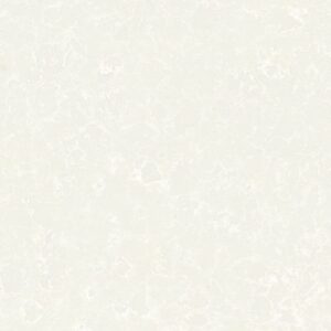 Perla ( Perla Grey )