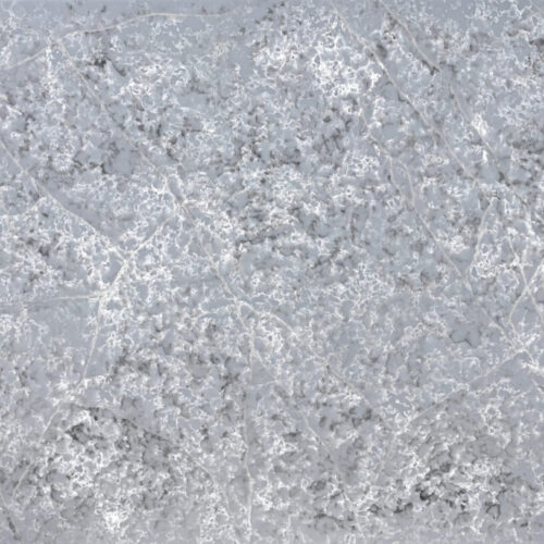 CS123-Glacier-Forest-Slab-scaled-1.jpg Glacier Forest