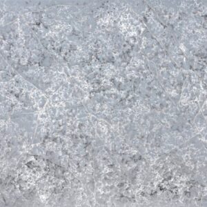 Glacier Forest