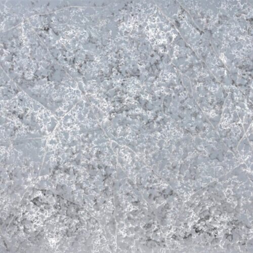 CS123-Glacier-Forest-Slab-scaled-2.jpg Glacier Forest