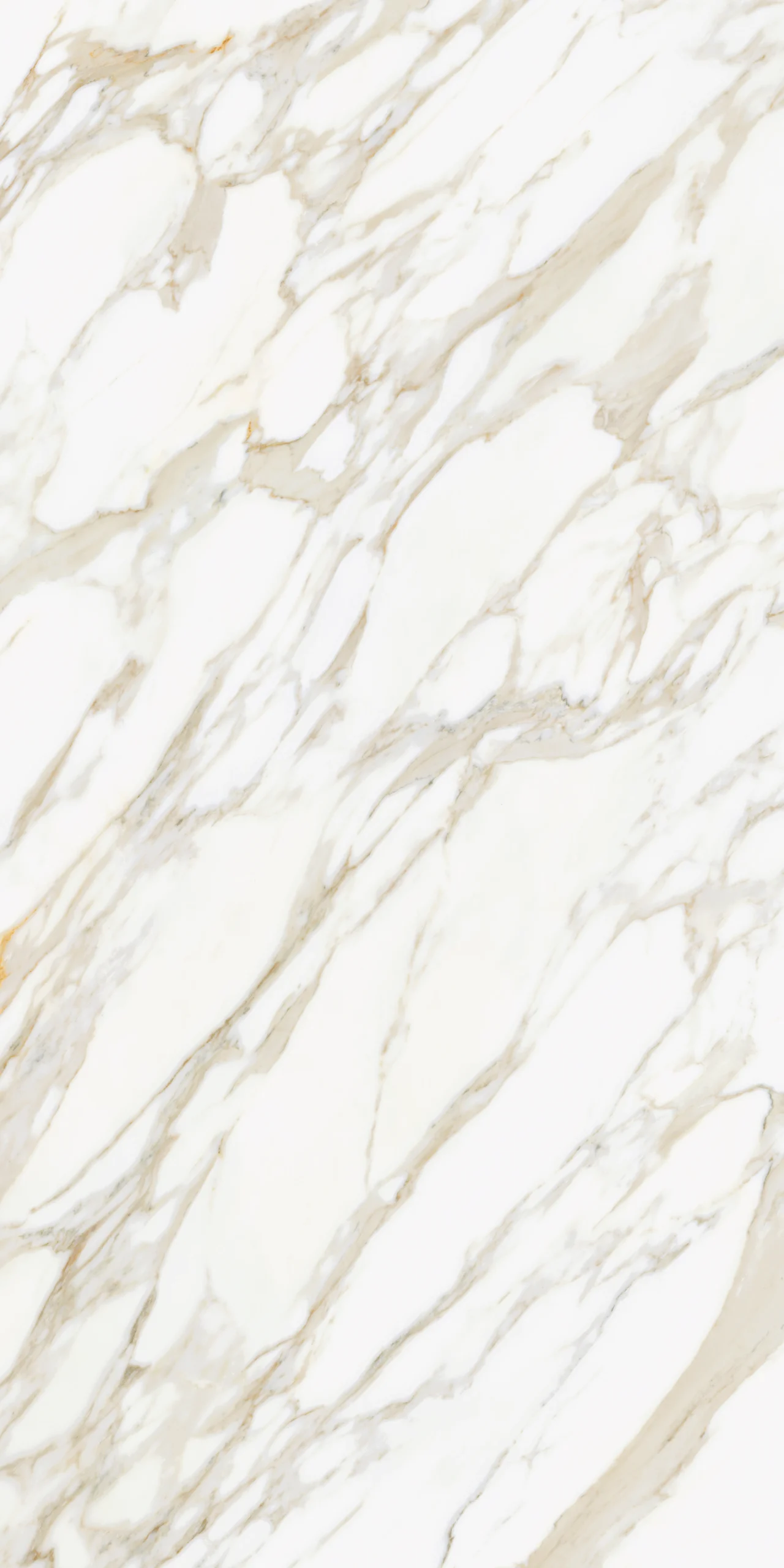 Calacatta_Extreme-Polished