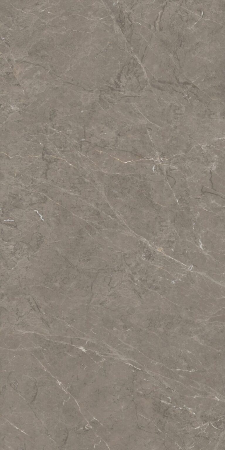 ELEGANT-GREY-CD_01869