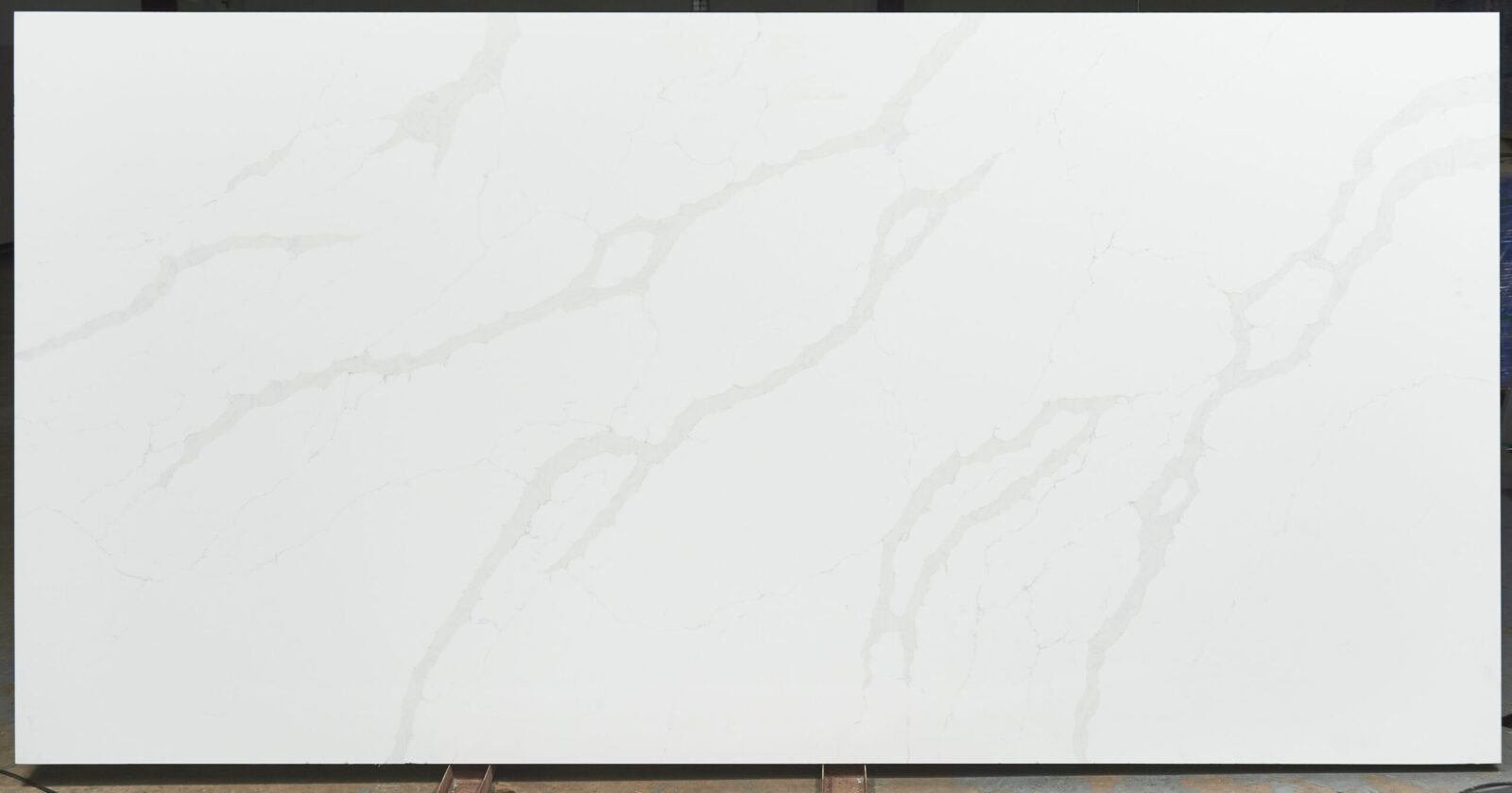 FLORENCE_Full-scaled-2