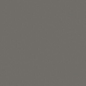 Gris Expo