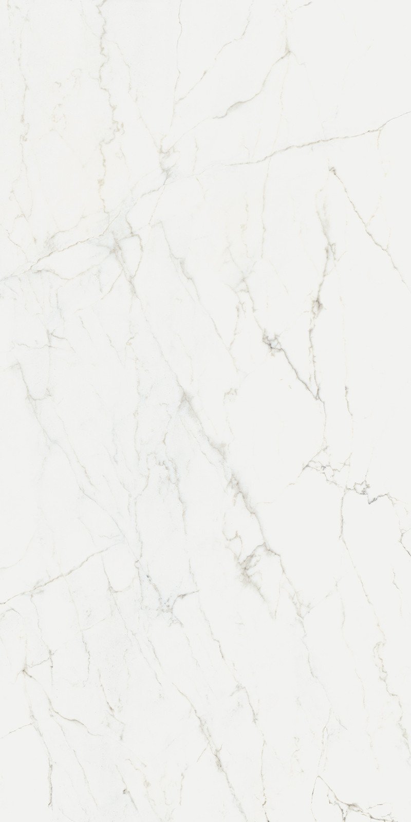 Infinity-Calacatta-Glory-Slab
