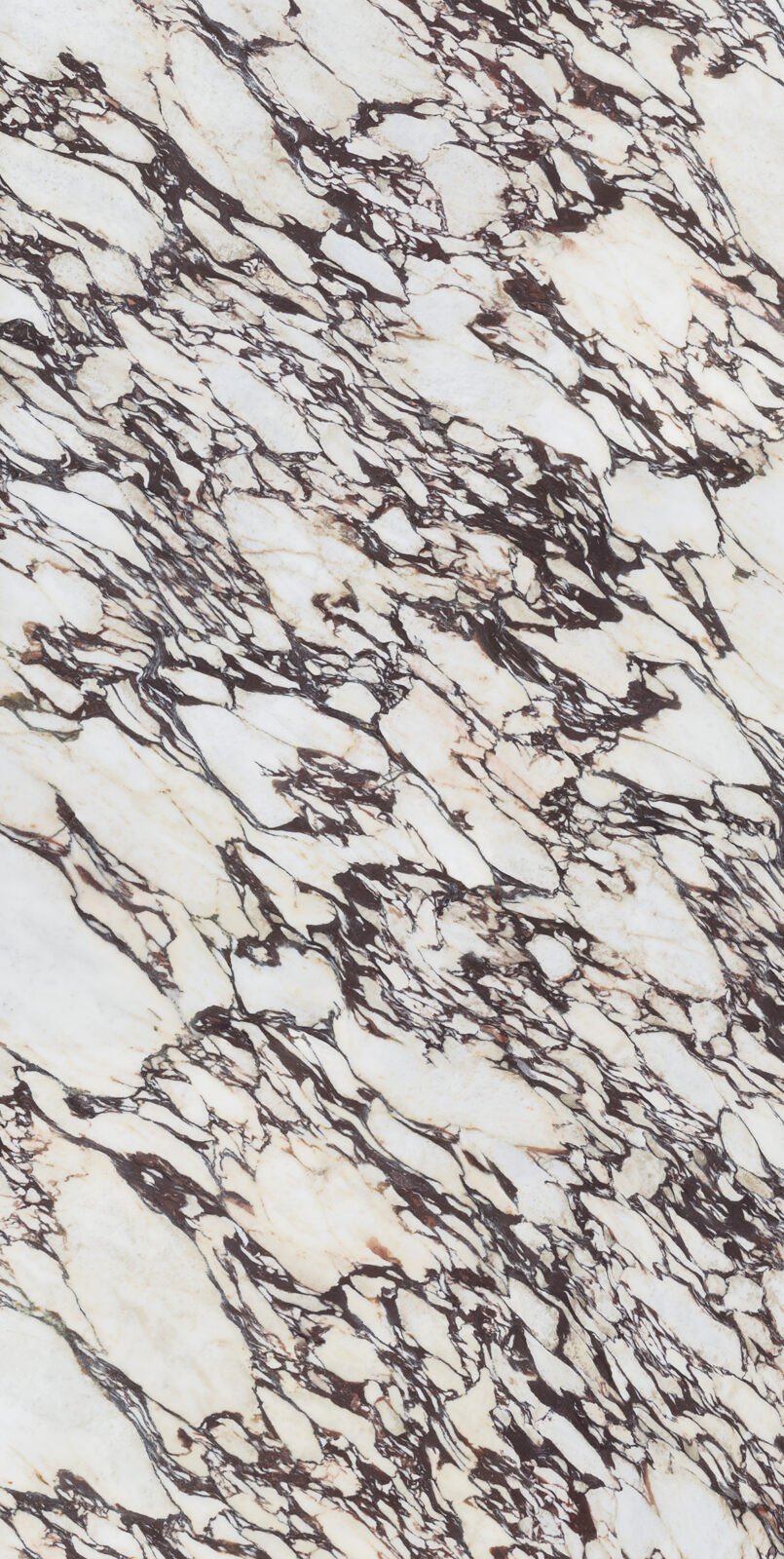 Infinity-Calacatta-Viola-Slab