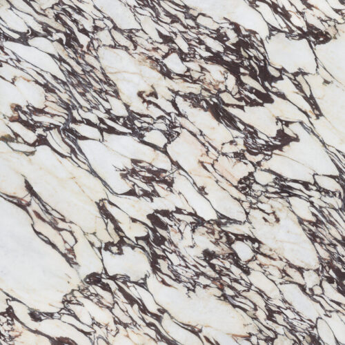 Calacatta Viola - Black