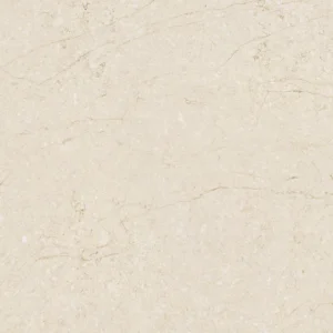 Taj Mahal Leather
