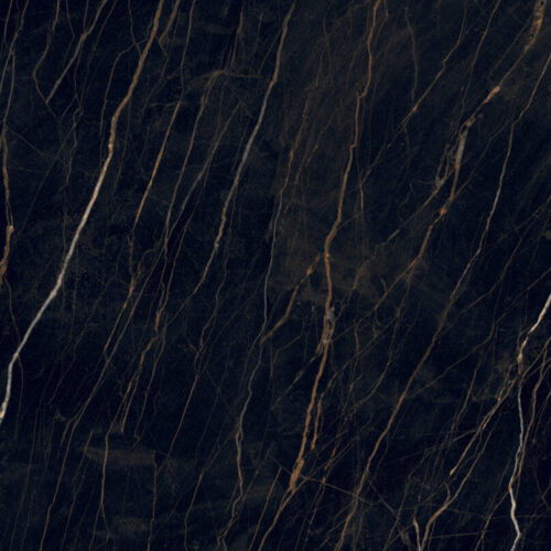 NOIR-SERPENTS_F1-scaled-1.jpg Noir Serpents