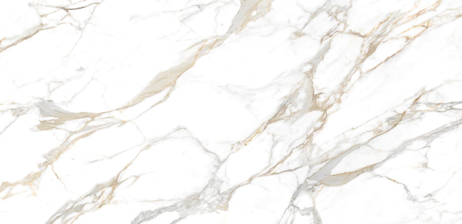 Neolith-Calacatta-Roman-1-1.jpg