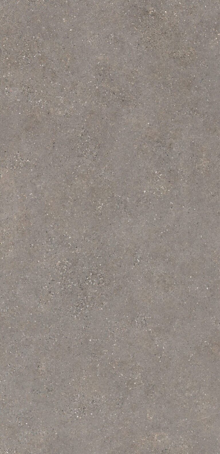 Neolith-Wulong-1-scaled-2.jpg