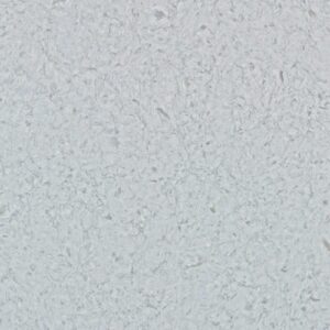 Atlantic Gris