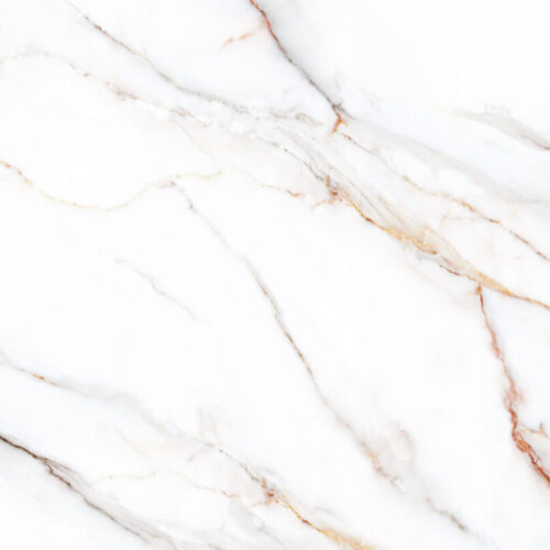 ROSA-BIANCO-scaled-1.jpg Rosa Bianco