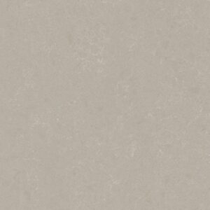 Noble Ivory White