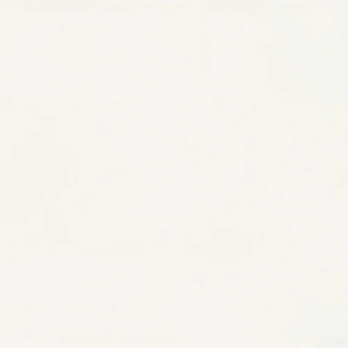 White-Dove-cropped-web-SJ-scaled