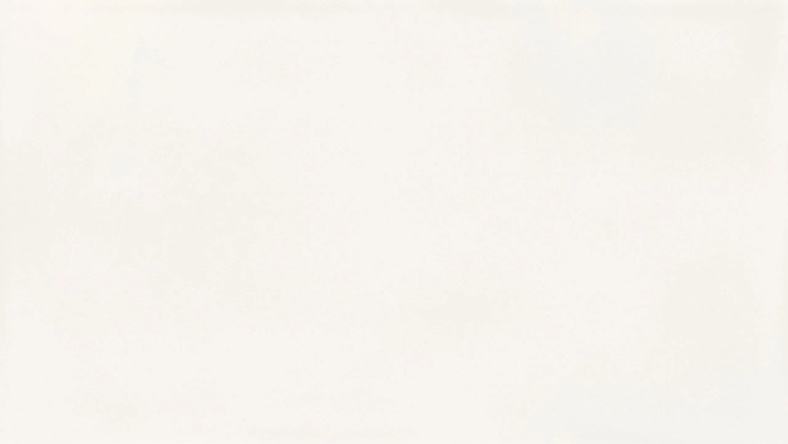 White-Dove-cropped-web-SJ-scaled