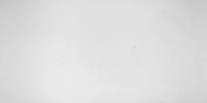 Carrara Cashmere (White Dove) FULL SLAB