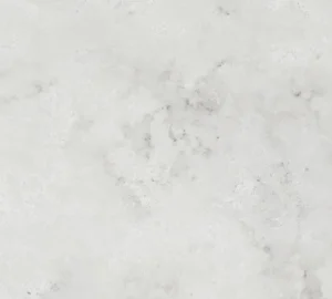 Cloudy Gris (fog) CLOSE UP