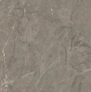 Elegant Grey CLOSE UP