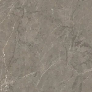 Elegant Grey CLOSE UP