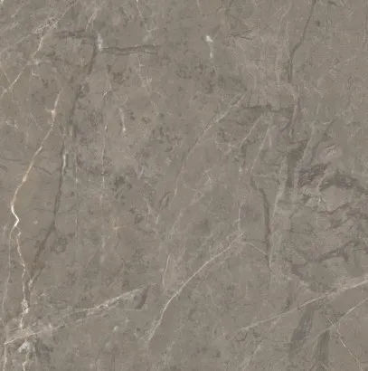 Elegant Grey CLOSE UP