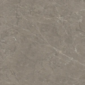 Elegant grey
