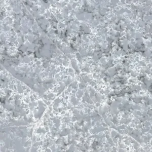 Glacier Forest CLOSE UP