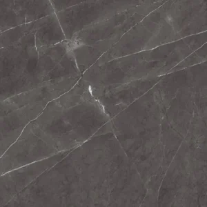 Pietra Grigio CLOSE UP