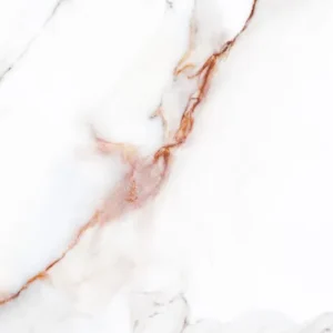 Rosa Bianco CLOSE UP