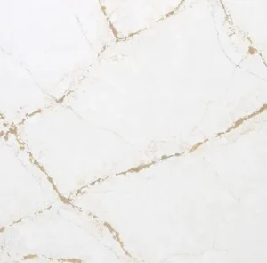 Royal Oro CLOSE UP