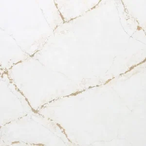 Royal Oro CLOSE UP