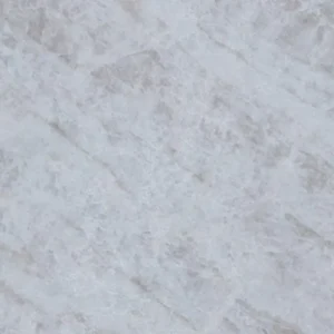 Taj Mahal CLOSE UP