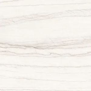White Macaubus CLOSe UP