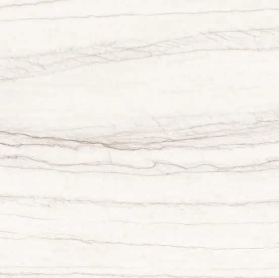 White Macaubus CLOSe UP